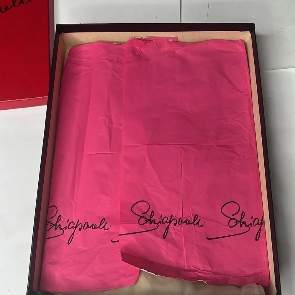 Vintage Schiaparelli 2 PAIR NEW Nylon Stockings in Original Box w Paper One Size